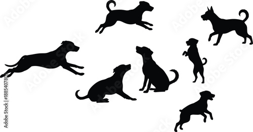 Dog silhouette collection, playful pet canine poses, sitting jumping running actions, domestic animal behavior, isolated black vector illustration set