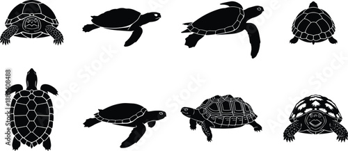 Turtle silhouette collection, sea turtle and tortoise poses, swimming and crawling reptiles, wildlife animal shapes, isolated black vector illustration set