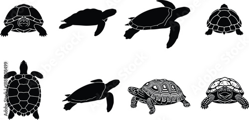 Turtle and tortoise silhouette set, sea turtle swimming poses, reptile wildlife collection, marine and land animals, isolated black vector illustration