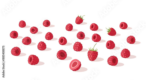 A scattering of ripe raspberries on a white background.
