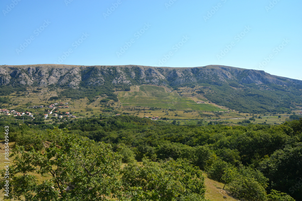 Fototapeta premium Lush green vineyards in the Baska Valley on the Island of Krk are surrounded by rocky mountains while the village Draga Bascanska is visible on the left