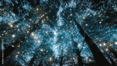 Connected Forest: Digital Network in Nature