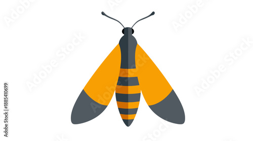 A geometric illustration of a moth with orange and gray wings, black antenna and stripes