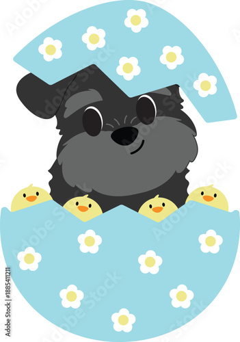 Adorable Schnauzer Puppy Hatches from Easter Egg