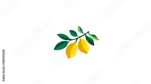 Illustration featuring two yellow citrus fruits attached to a green leafy branch on a white background