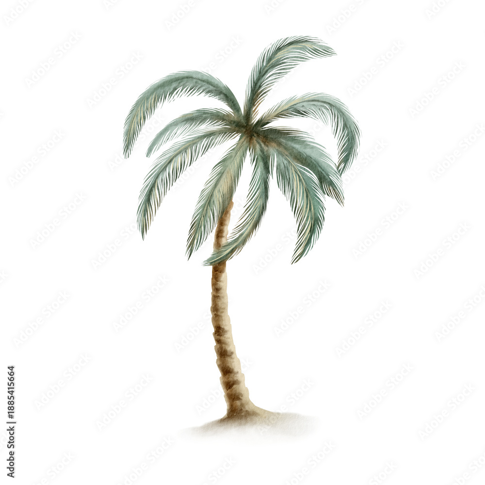Obraz premium Palm tree in muted sea tones,evoking carefree vacations,pirate tales,desert island adventures.Watercolor illustration,textured fronds,for travel branding,tropical themes,storybook projects