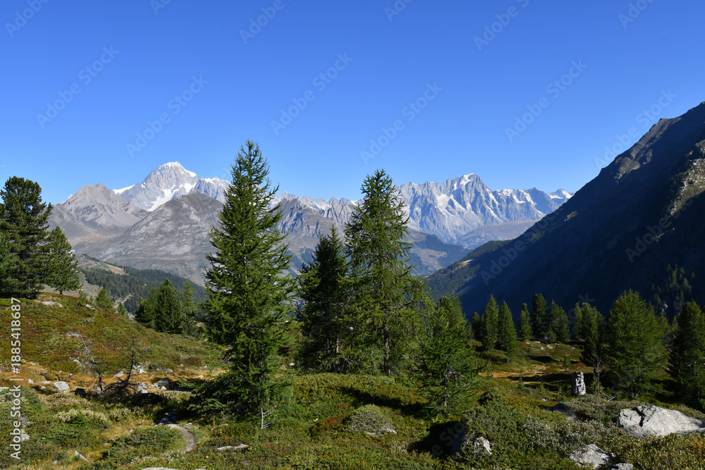 Obraz premium Il Monte Bianco e le Grand Jorasses visti salendo ai laghi di Bellacombe,sopra La thuille