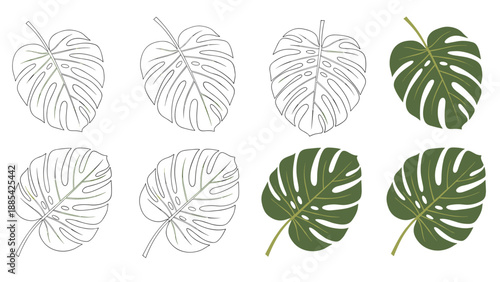 Collection of monstera leaf icons in both black outline and solid green versions for tropical botanical and nature themed designs.