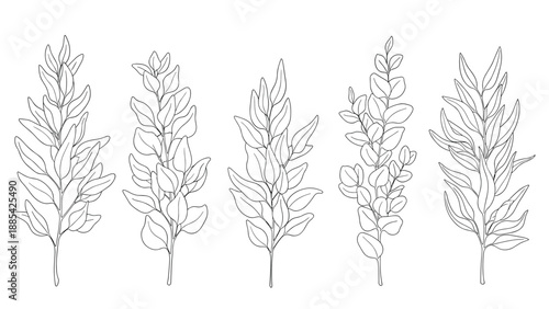 Collection of five black and white leaf branch sketches in a minimalist line art style for botanical and nature themed designs.