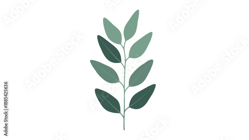 Simple vertical illustration of a green leafy stem with various shades of foliage isolated on a clean white background for botany themes.