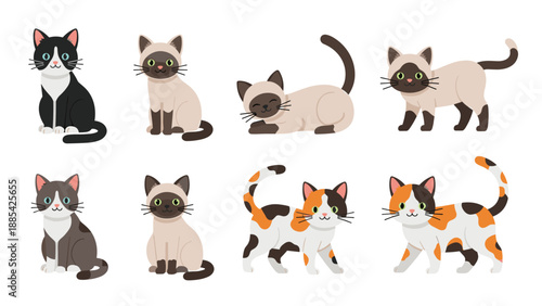 Diverse collection of eight cat illustrations showcasing different breeds like Siamese and calico in various sitting and walking poses.