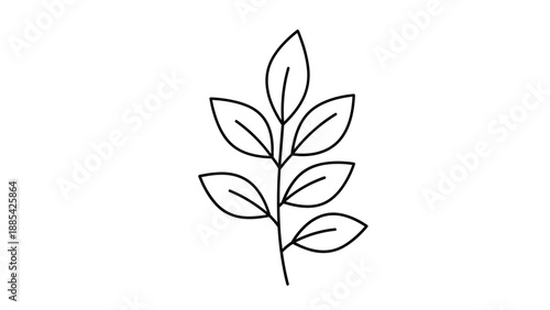 Minimalist line drawing of a single botanical branch with multiple symmetrical leaves isolated on a plain white background.