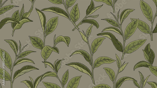 Lush seamless pattern featuring detailed drawings of green tea leaves and branches on an earthy olive green background.