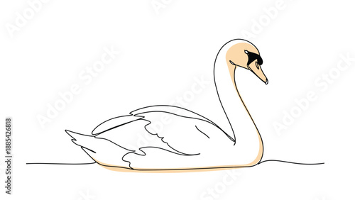Graceful illustration of a white swan floating on calm water ripples, with subtle orange highlights on its neck and underbody.