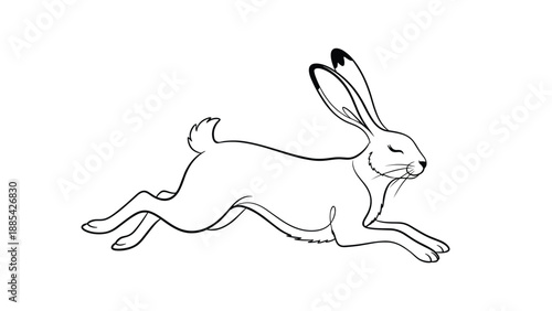 Elegant black line art drawing of a wild hare or rabbit jumping in full motion isolated on a white background for coloring.