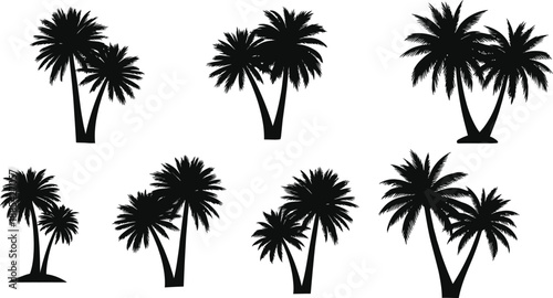 Collection of black palm tree silhouettes, perfect for tropical designs, summer themes, and vacation-related graphic elements. Ideal for web and print projects.