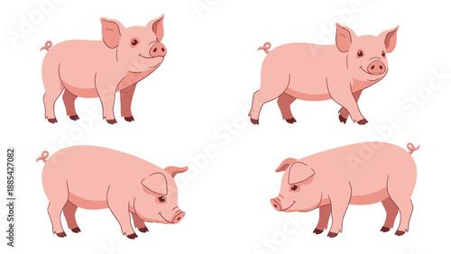 Set of four cheerful pink pig cartoon characters illustrated in various standing and walking poses for kids design projects.