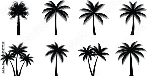 Collection of diverse tropical palm tree silhouettes, perfect for summer vacation designs and exotic island themes. Vector illustration set.