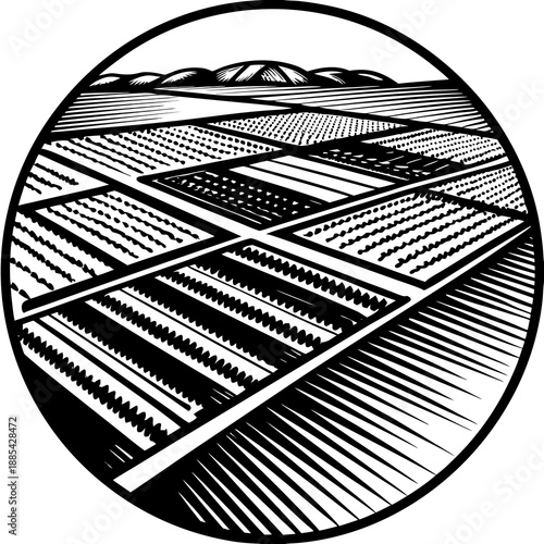 Agricultural Land Patterns Top View Vector Design