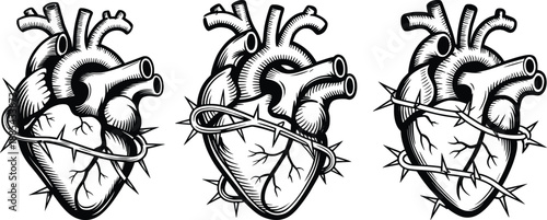Triple Anatomical Heart Illustration with Thorns Black and White.