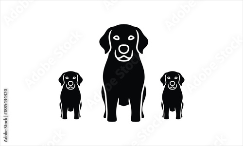 Black and white Labrador retriever dog portrait isolated on a white background