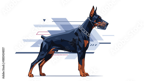 Strong doberman pinscher dog stands alert while wearing a protective metal wire muzzle and a studded leather collar.