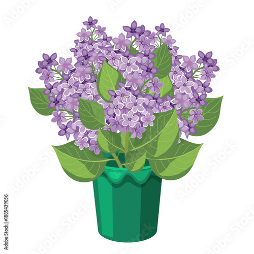 A bouquet of lilacs in a vase without a background