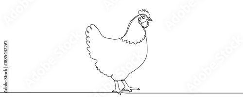 One continuous line of a chicken. Minimalist line art drawing of a domestic bird in one line art style. Concise chicken illustration for farming, meat products, or rural themes with a black stroke. Ve