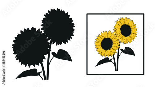Sunflower comparison colorful bloom and dark dramatic silhouette