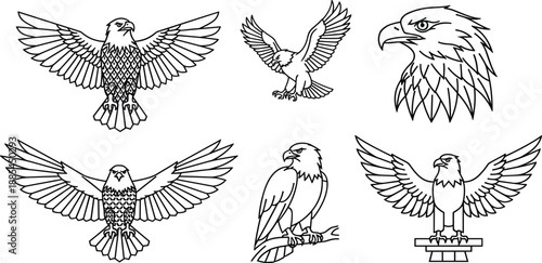 Eagle, vector, set, with, bald, eagles, flying, perching, soaring, wings, mascot, heraldry, patriotic, bird, prey, nature, wildlife, line, art, illustration.