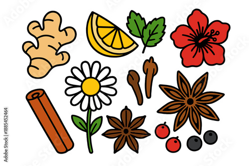 Bright Flat Tea Ingredients Isolated ginger lemon mint chamomile hibiscus cinnamon cloves star anise and berries for packaging.