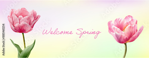 Watercolor botanical arrangement with flowers and green leaves. Spring banner template. Abstract minimalist design for invitations, posters or decorative backgrounds. Vector illustration.