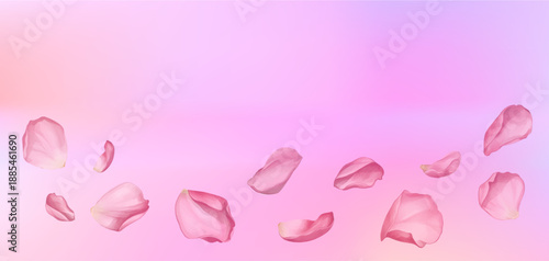 Delicate pink petals floating on white background. Spring flower blossoms falling through air in soft breeze. Pastel floral template for banner design with watercolor effect. Vector illustration.
