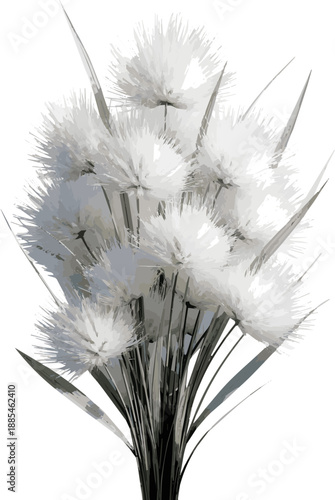 Create a realistic Blooming bunch of cute hare's tail grass vector art with white background.