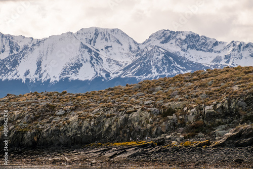 Island with arid vegetation and, behind, snow covered Cerro del Medio and mountains in Ushuaia, Argentina