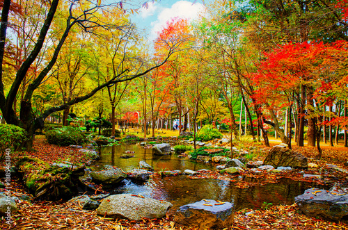 Beautiful autumn forest with bright foliage. Beautiful Fall stream with orange, yellow, red and green trees