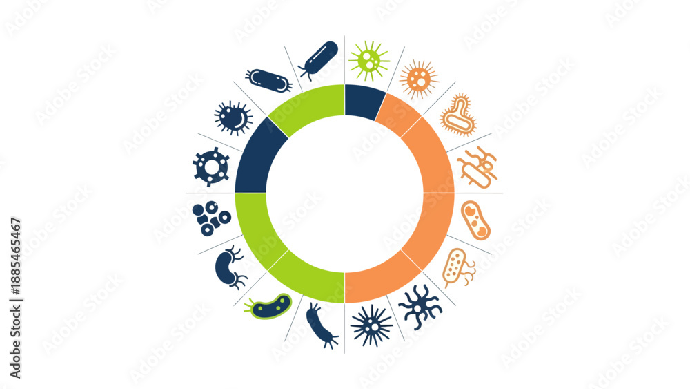 Obraz premium Radial infographic displaying various types of microorganisms and cellular structures, ideal for scientific and educational contexts.