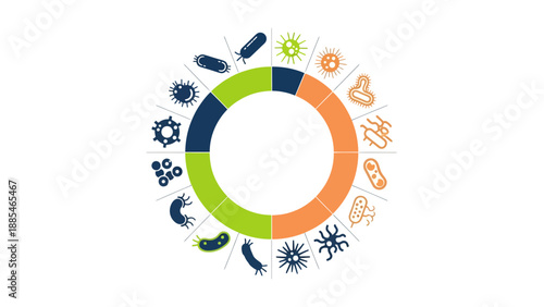 Radial infographic displaying various types of microorganisms and cellular structures, ideal for scientific and educational contexts.