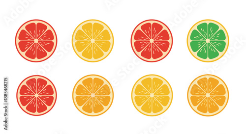 Colorful grid displays eight slices of various citrus fruits including red grapefruit, yellow lemon, green lime, and bright orange segments.