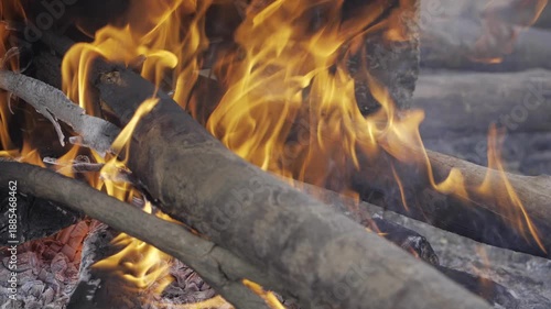 Vibrant Blaze  A Mesmerizing Display of Fires Fiery Glow