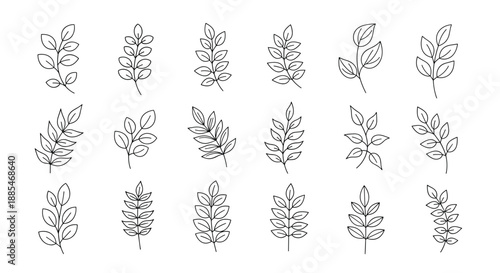 Grid of eighteen various leaf and branch sketches showcases different plant species in a simple black and white hand-drawn line art style.