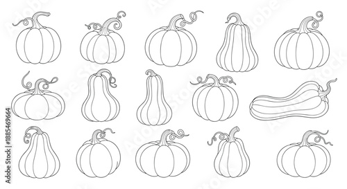 Diverse collection of pumpkins and squashes in various shapes and sizes illustrated as black and white line drawings for harvest.