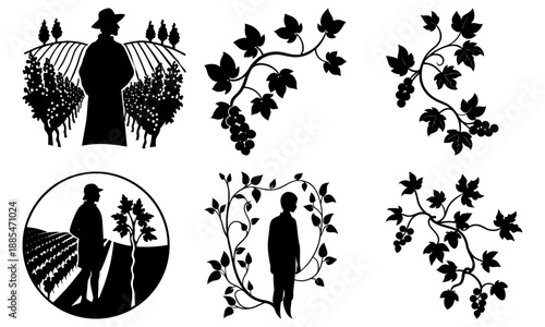 Silhouette of a person tending to grapevines with decorative vine on white background vineyard