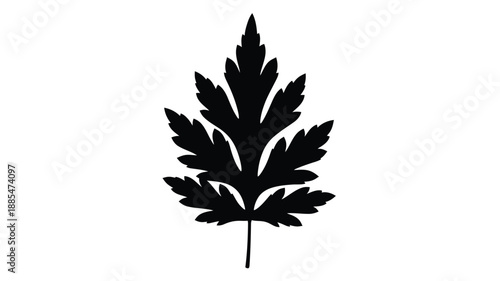a detailed black cannabis leaf graphic illustration simple design silhouette