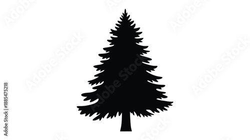 a striking black silhouette of a tall evergreen tree against a white background