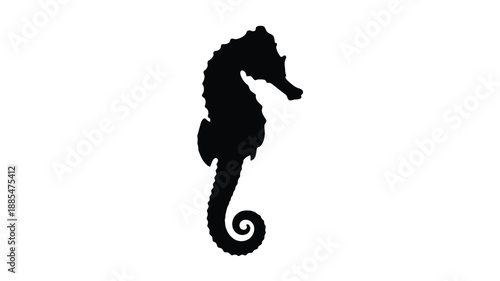 a striking black seahorse silhouette against a clean white background