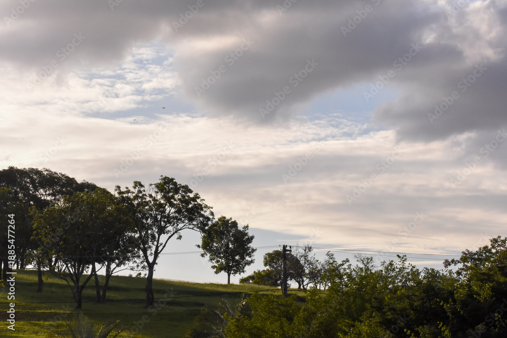 Obraz premium sunset in park