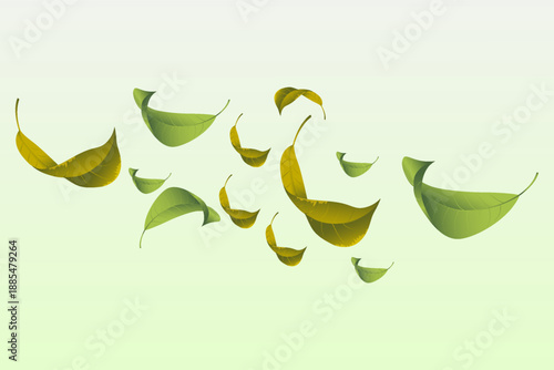 Minimal autumn leaf fall on pastel background.