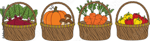 Wicker baskets with fresh vegetables pumpkin carrots beets and peppers organic harvest flat vector illustration