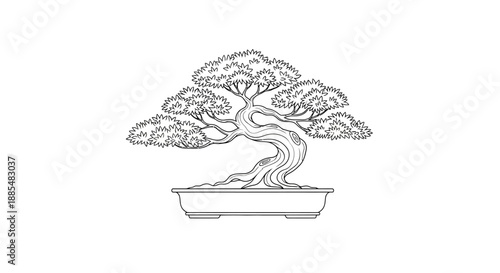 Bonsai Tree Illustration in Pot.